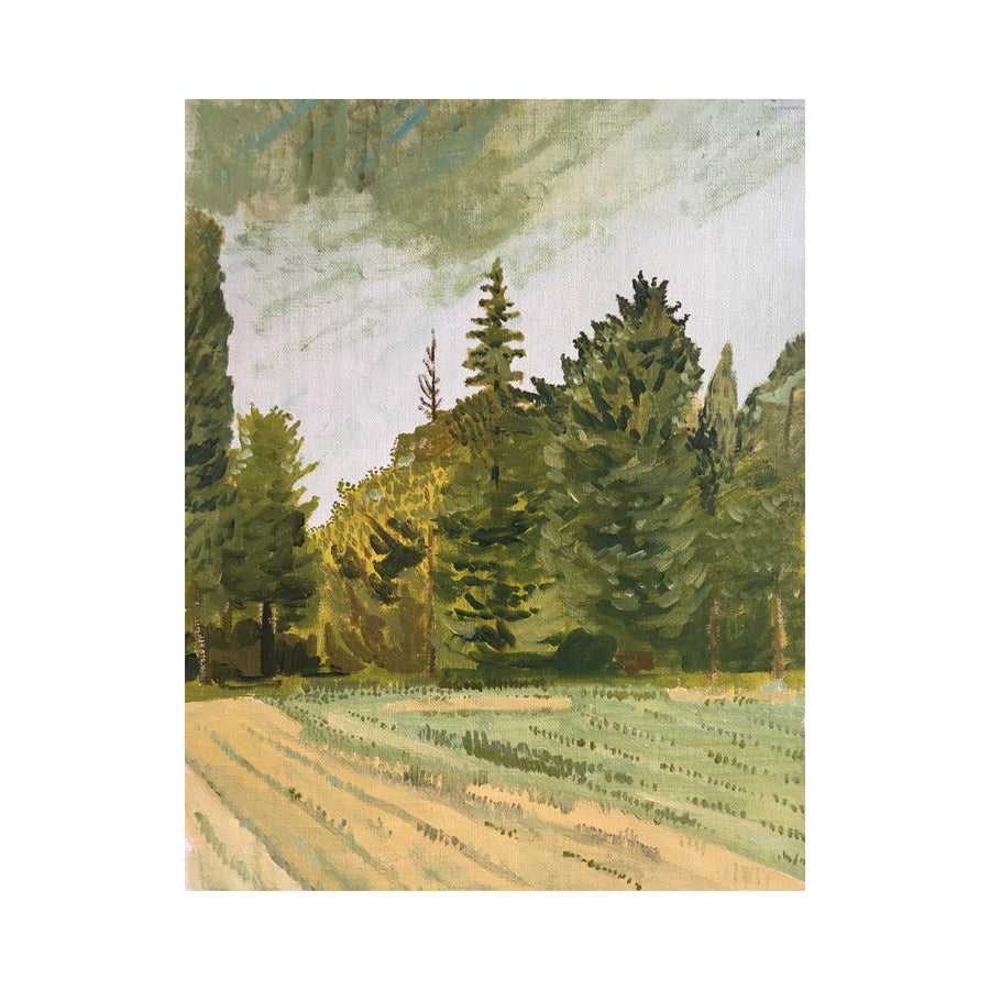 Trees at the end of a Field, Maussane #19