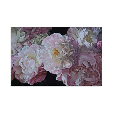 Peonies 1024