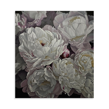 Peonies 1524