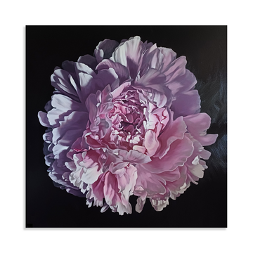 Peony Portrait 2124