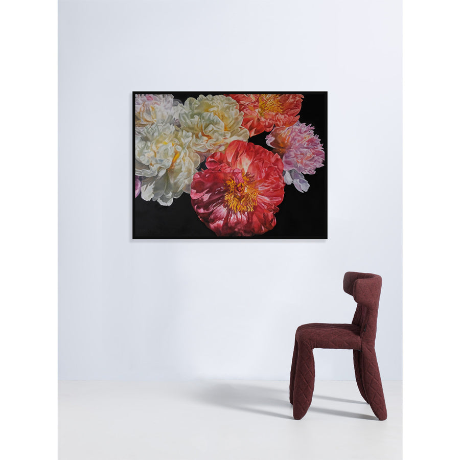 Coral Peony