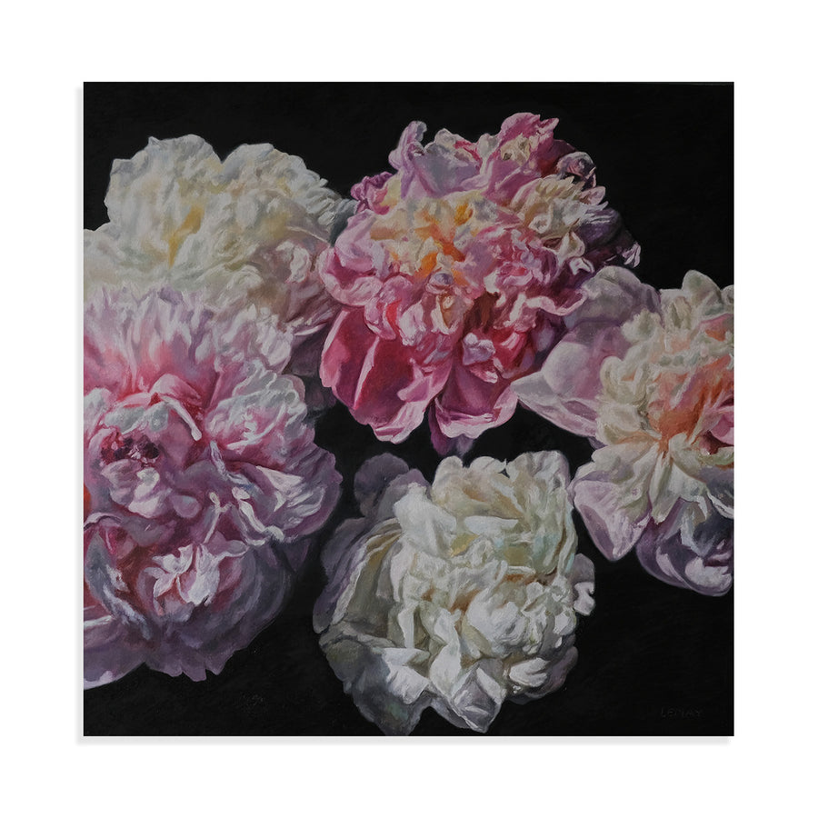 Peony Garden III
