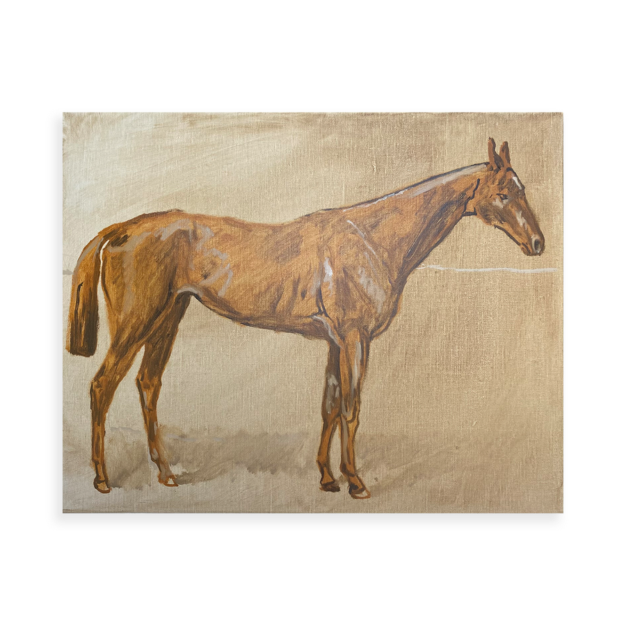 Equine Study II